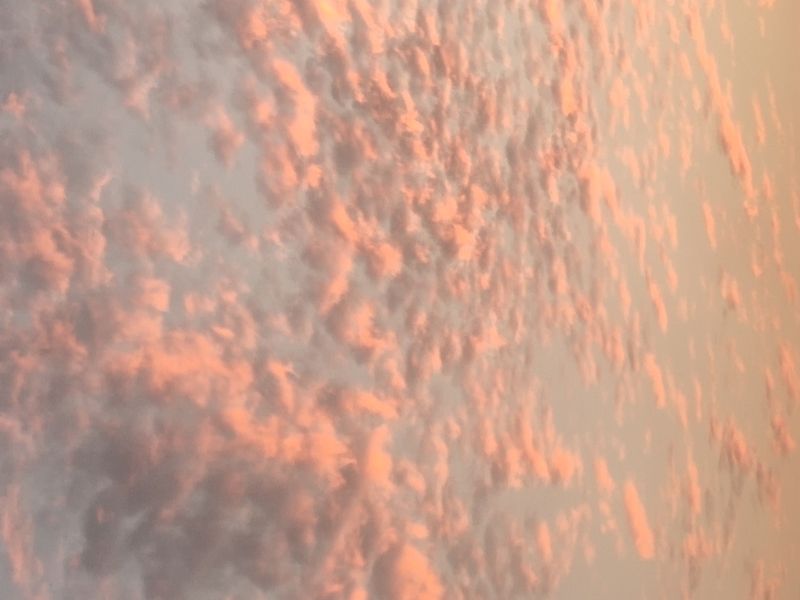 S. எழிலரசி