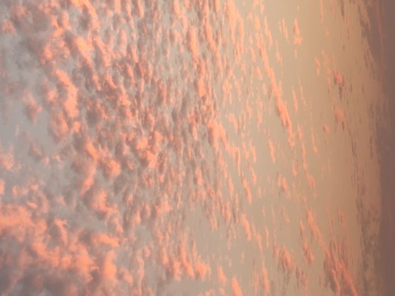 Dr. E.சிவசக்தி